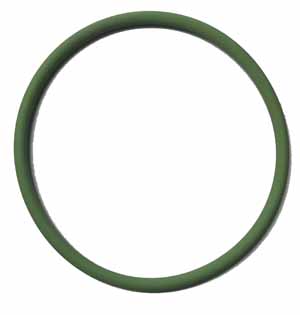 O-Ring DM 48.0 x 2.5 grün